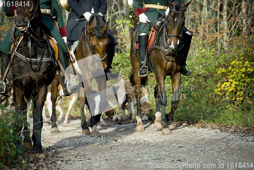 Image of riders and dogs