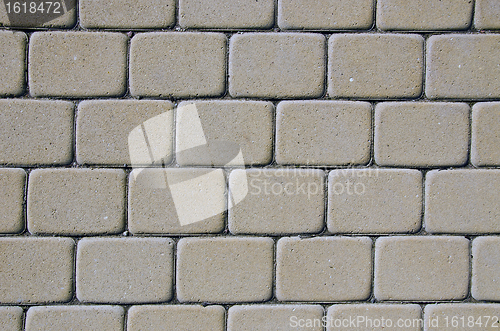 Image of Path background fragment.