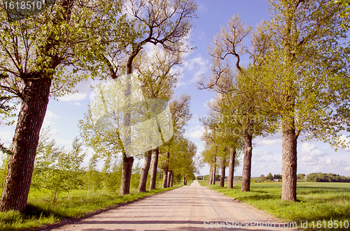 Image of Dry gravel road.