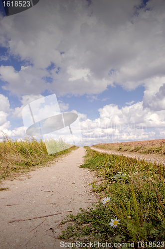 Image of Rural gravel road.