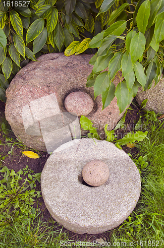 Image of Burr with stone in hole.