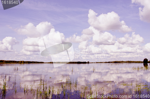 Image of View of summer lake. 