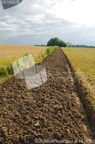 Image of Freshly plowed field furrow.