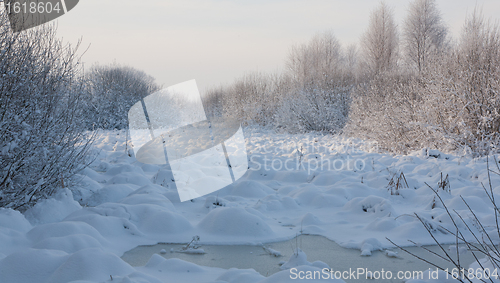 Image of Abandoned meadows blizzard after in winter