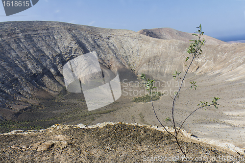 Image of Caldera blanca crater