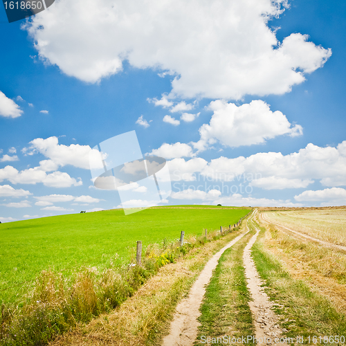 Image of agriculture landscape