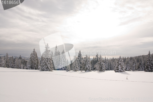 Image of fresh snow in the mountains