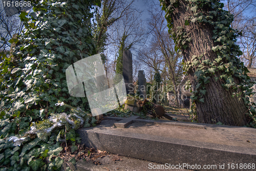 Image of old graveyard in Prag