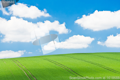 Image of green field