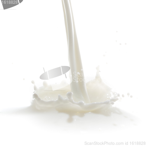 Image of milk splash