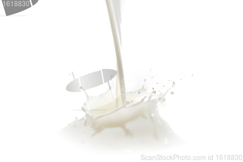 Image of milk splash