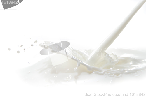 Image of milk splash