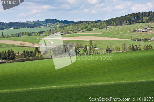 Image of green field