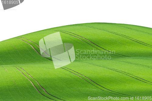 Image of green field