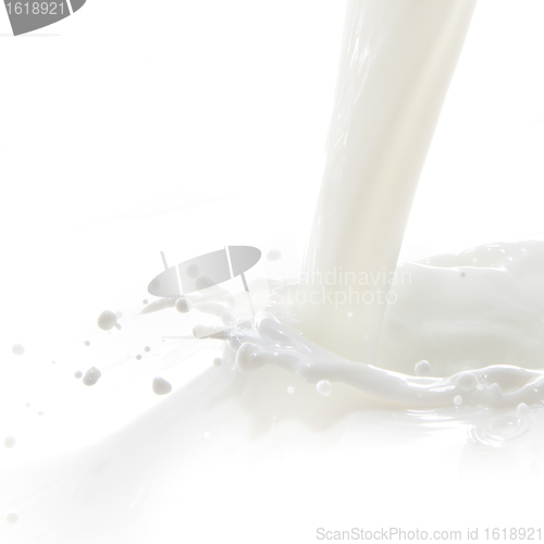 Image of milk splash