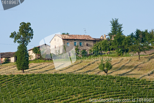 Image of Typical Tuscan landscape