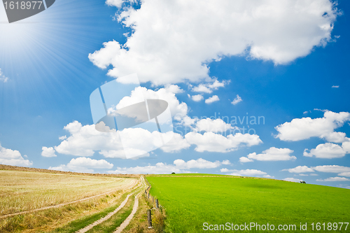 Image of agriculture landscape