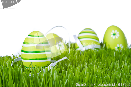 Image of easter eggs in grass