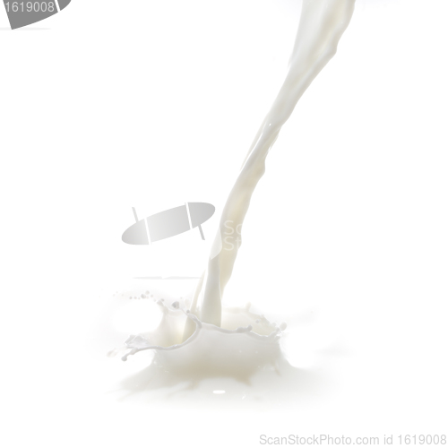 Image of milk splash