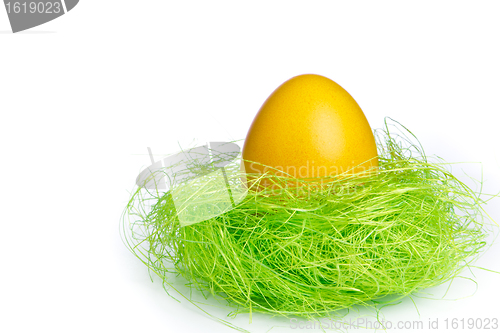 Image of easter egg in nest