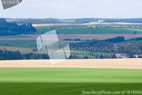 Image of green field