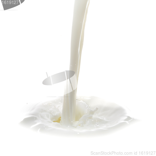 Image of milk splash