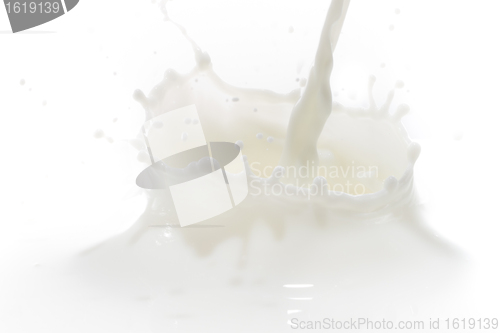 Image of milk splash