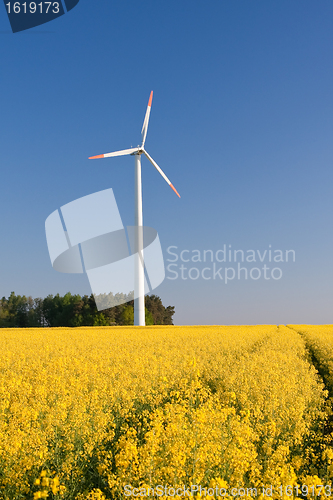 Image of windmill  farm in the rape field