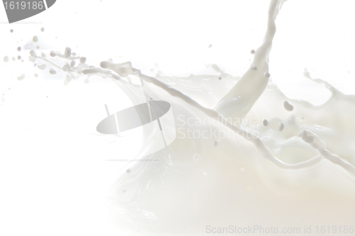 Image of milk splash