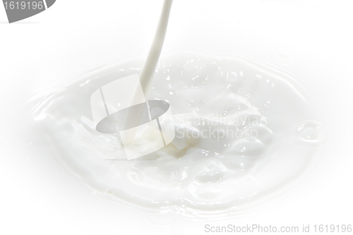 Image of milk splash