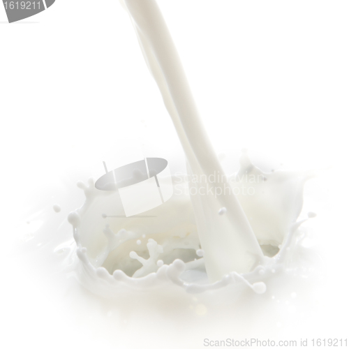 Image of milk splash