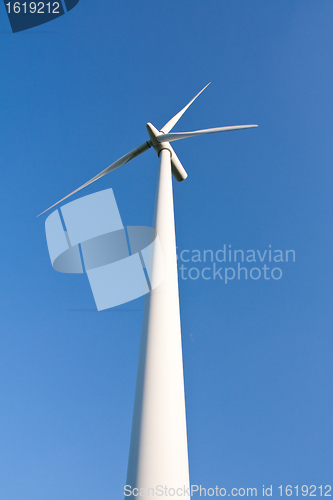 Image of windmill  farm