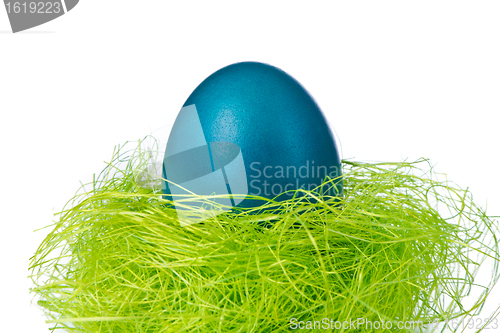Image of easter egg in nest