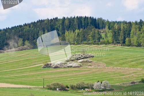 Image of green field