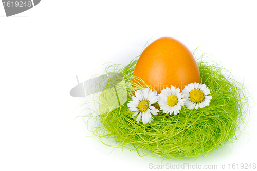 Image of easter egg in nest