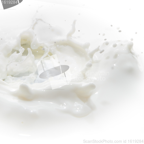 Image of milk splash