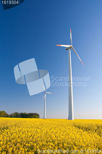 Image of windmill  farm in the rape field