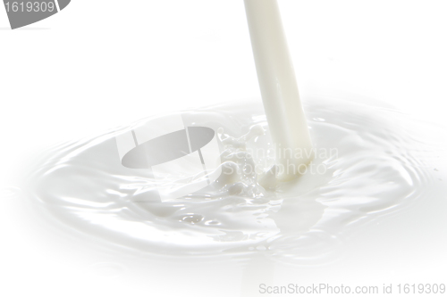 Image of milk splash