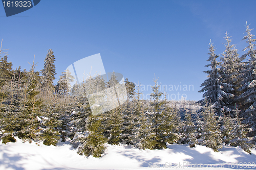 Image of fresh snow in the mountains
