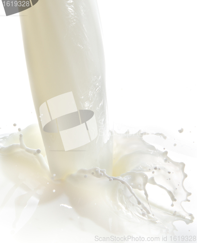 Image of milk splash