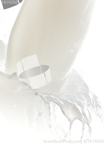 Image of milk splash