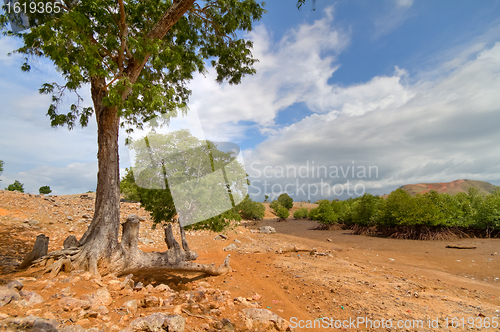 Image of Seraya Island, Indonesia