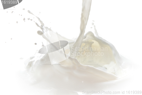 Image of milk splash