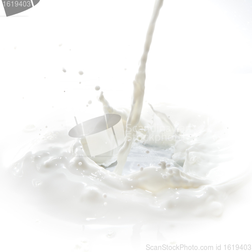 Image of milk splash