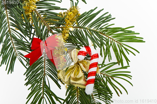 Image of Christmas branch 