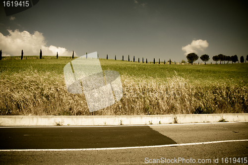 Image of Typical Tuscan landscape