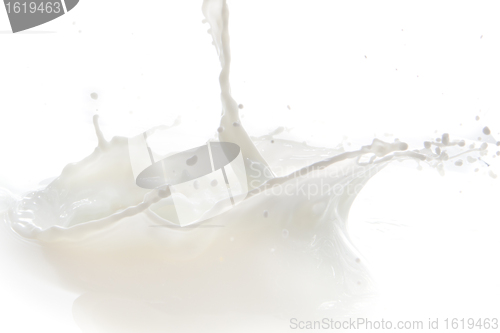 Image of milk splash