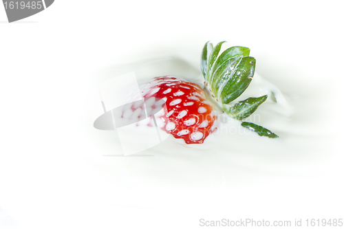Image of strawberry splashing into milk