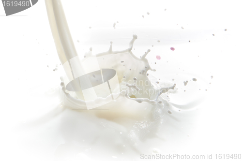 Image of milk splash