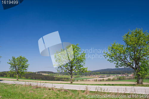 Image of grassland in the springtime